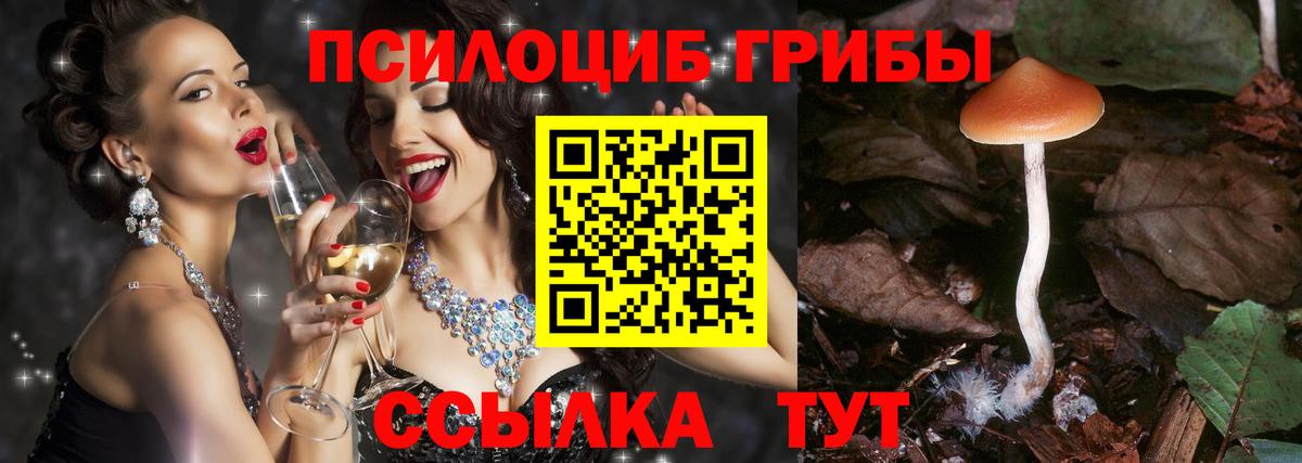 Псилоцибиновые грибы Magic Shrooms  Вход с VPN  Сорочинск 
